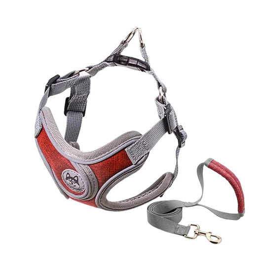 Reflective bib with strap