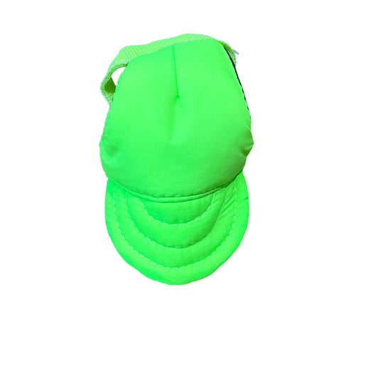 Gorritas para perros y gatos