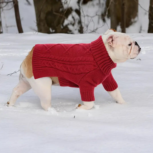 Buzo tejido - Razas Grandes