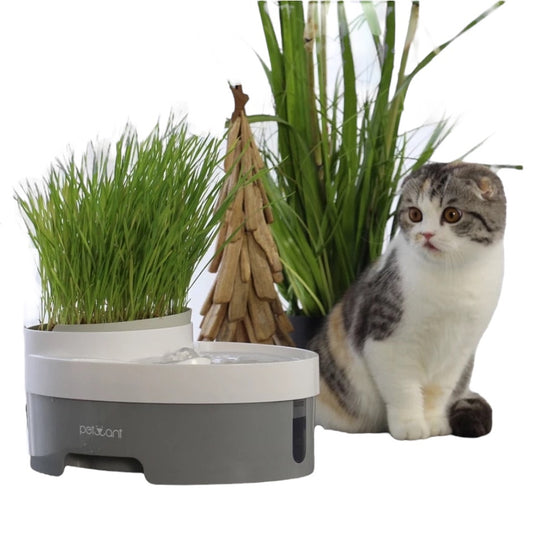 Fuente eléctrica 3 en 1