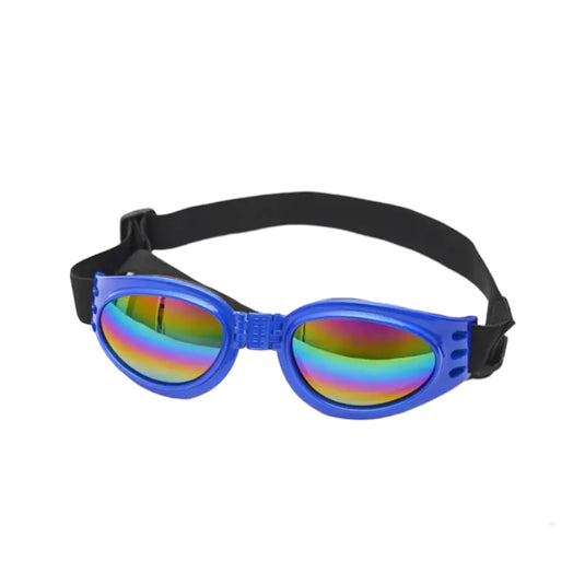 Glasses for large and medium dogs