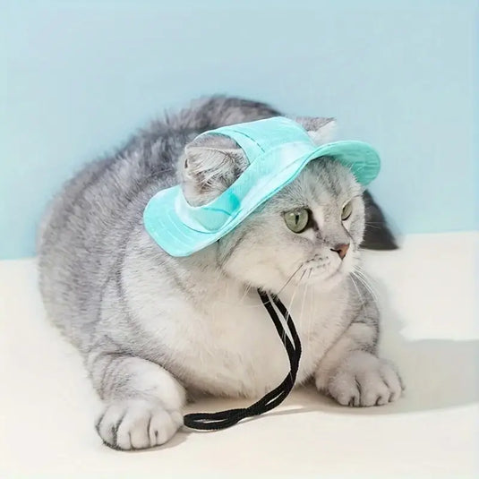 Pavas para gatos y perros