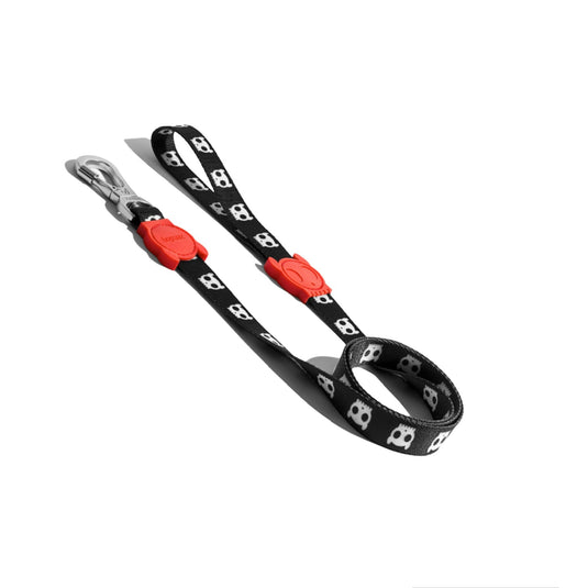 Dog leash (Zeedog)