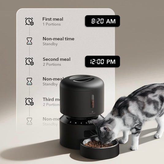 PETLIBRO - Comedero automático para gatos