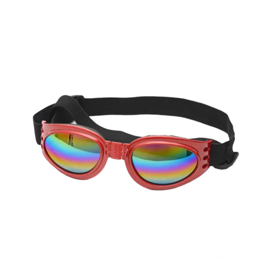 Glasses for large and medium dogs