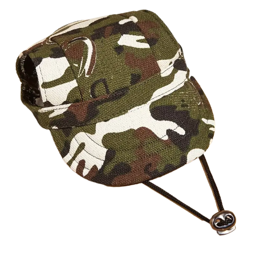 Gorras para mascotas