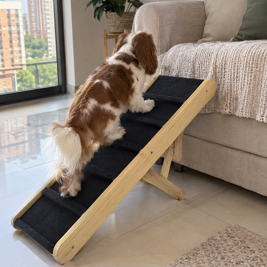 Rampa ajustable para Perros y Gatos