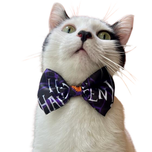 Collar Corbatín Spider Halloween para perro y gato