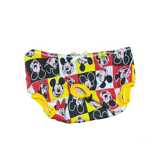 Panty para perritas Eco
