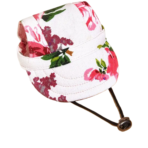 Gorras para mascotas