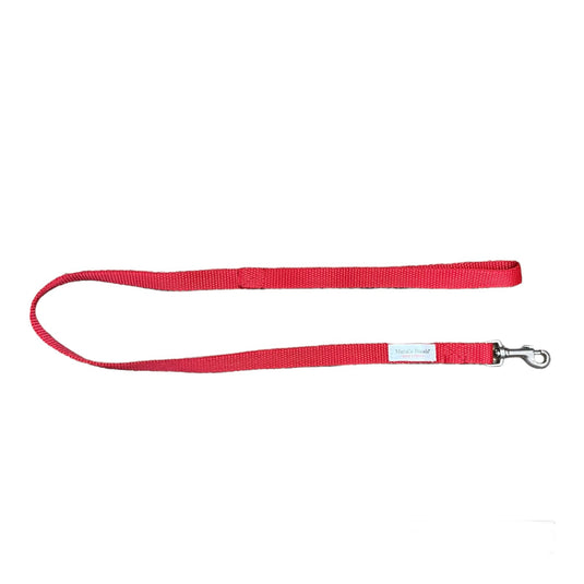 Correas en DESCUENTO