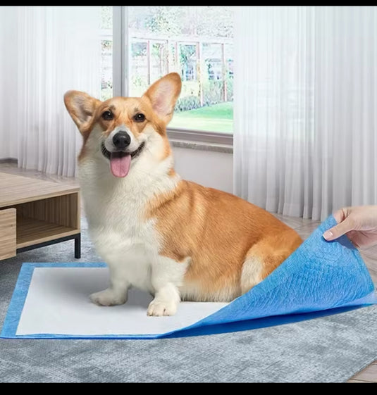 absorbent mat