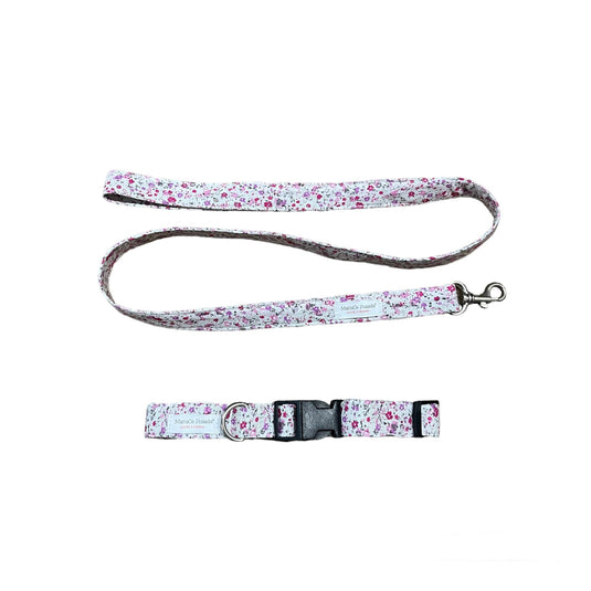 Collar y correa estampados