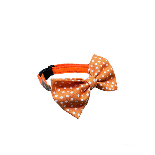 Bowtie size S for dogs and cats