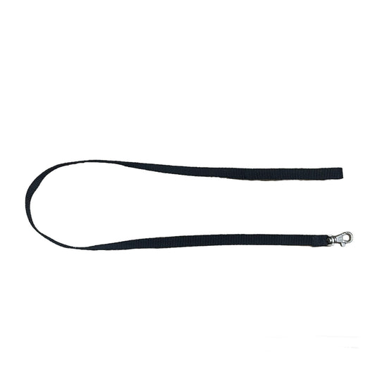 Correas en DESCUENTO