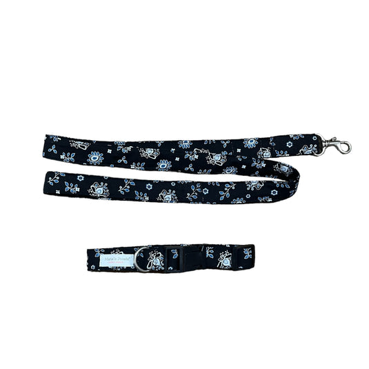 Collar y correa estampados