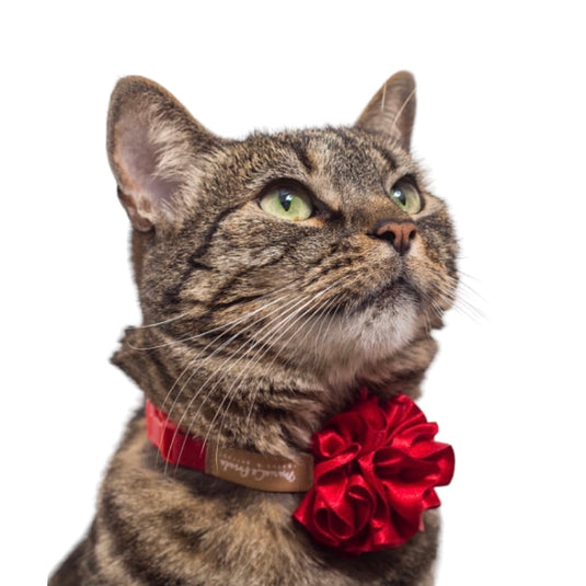 Necklace with rose size S