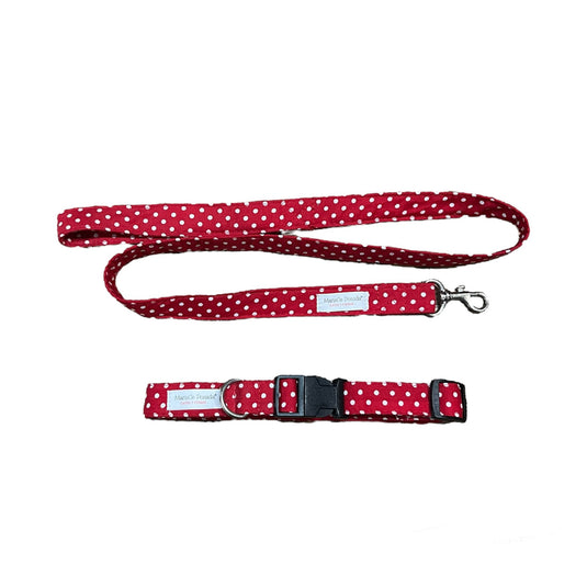 Collar y correa estampados