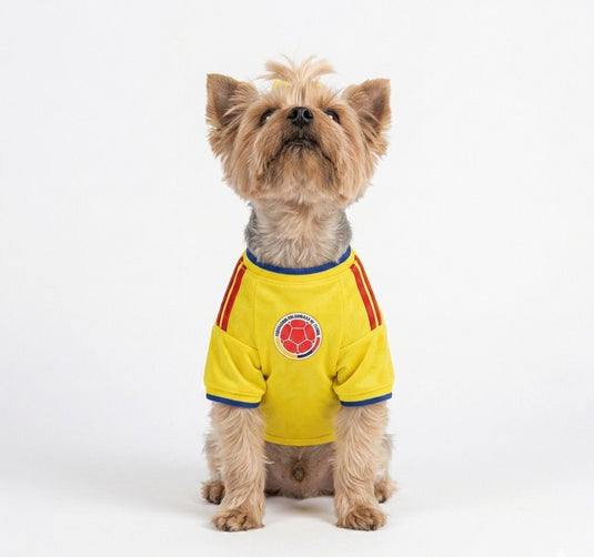 CAMISETA SELECCION COLOMBIA