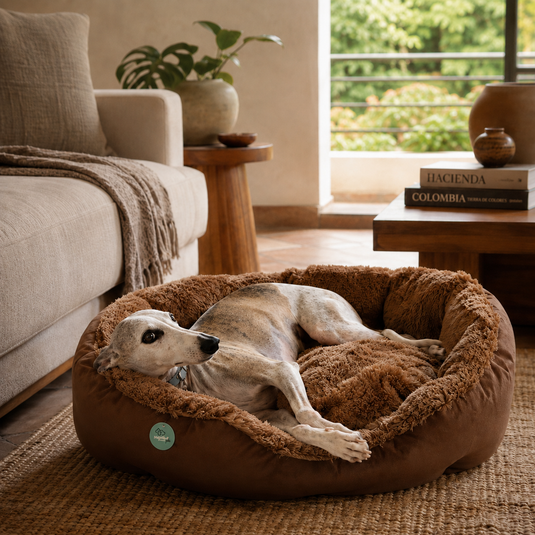 Perro descansando en cama tipo sofá acolchada color café en una sala de hogar