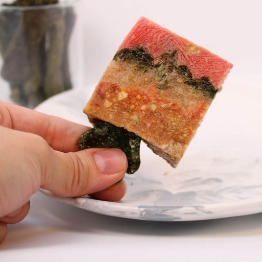 Chupileta - paleta para perros 4Hunters