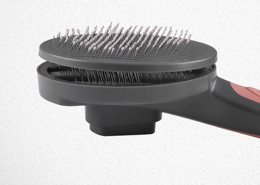 Cepillo con botón de limpieza