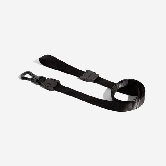 Dog leash (Zeedog)