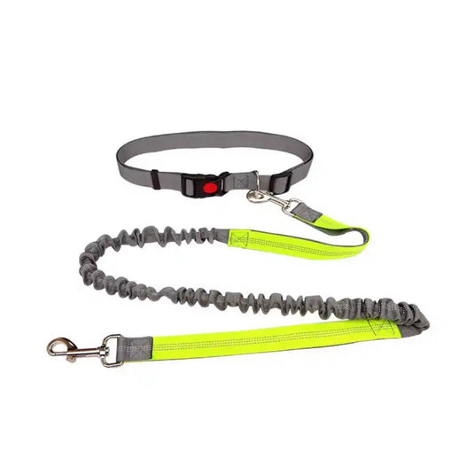 Traílla manos libres flexible