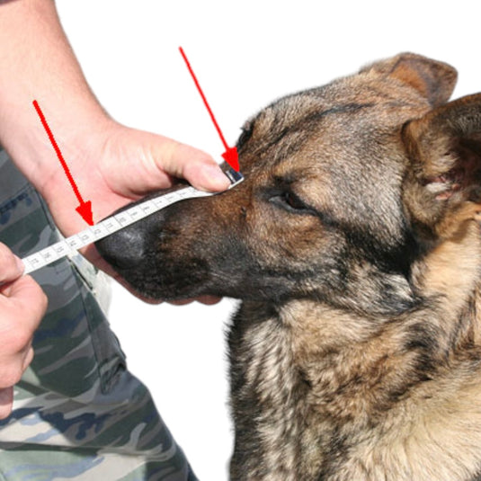 Dona Postquirúrgica