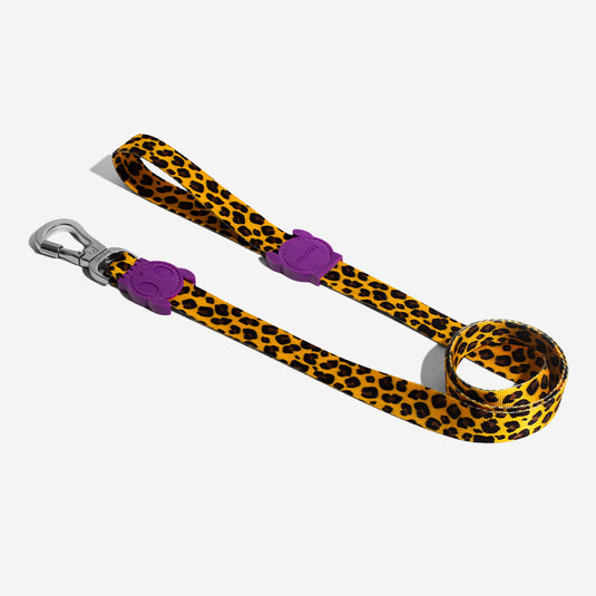 Dog leash (Zeedog)