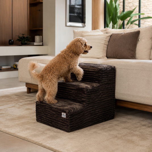 Perro usando escalera acolchada de tres peldaños para subir al sofá en el hogar