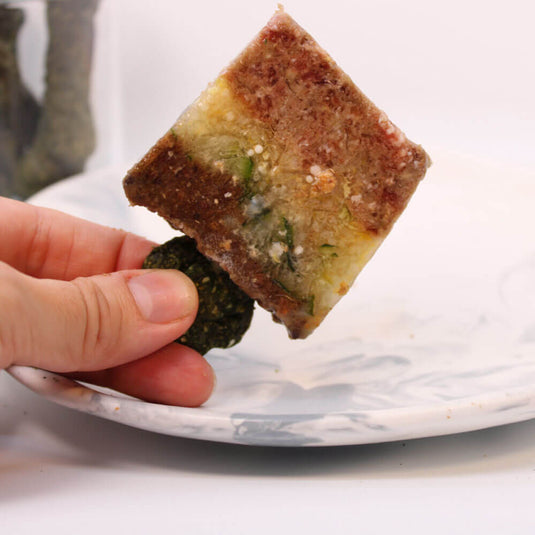 Chupileta - paleta para perros 4Hunters