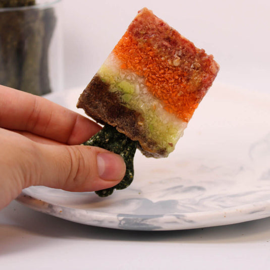 Chupileta - paleta para perros 4Hunters