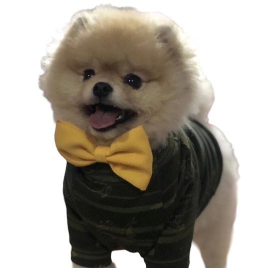 Bowtie size S for dogs and cats