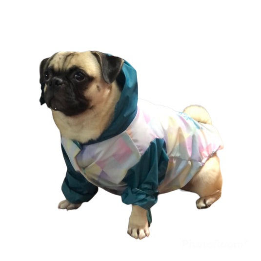 Chaqueta Cortavientos