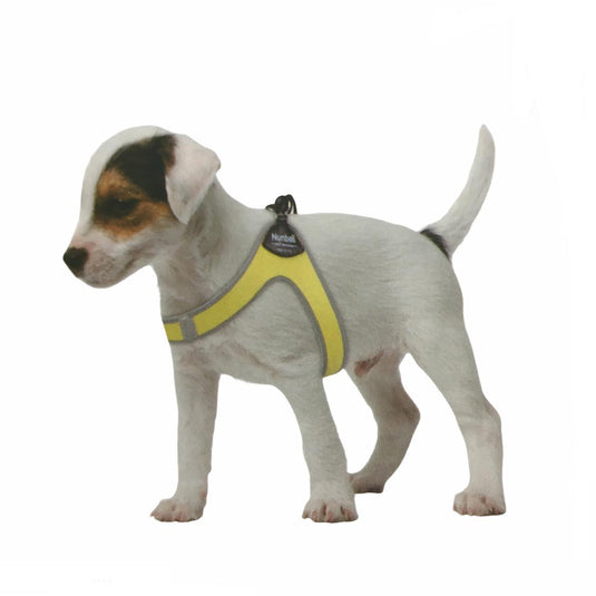 Arnés Pet Harness
