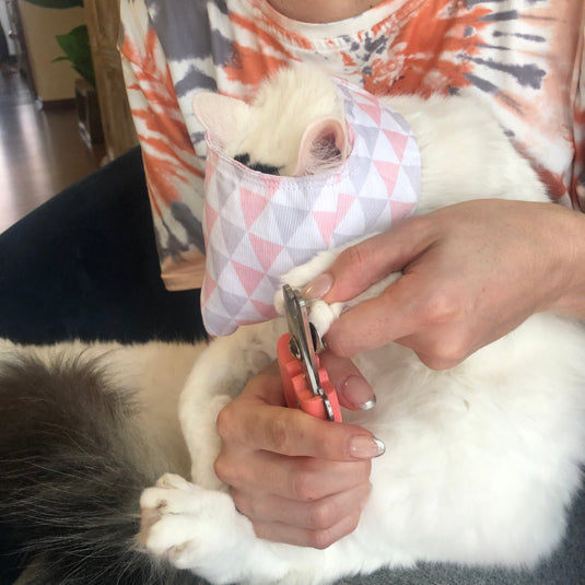 Breathable cat muzzle