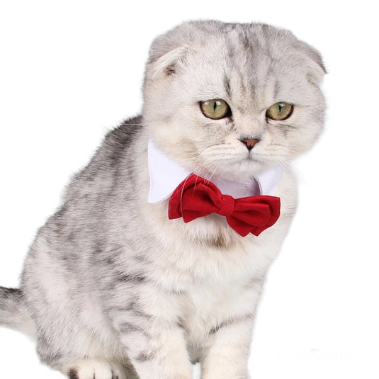Neck with bowtie size S