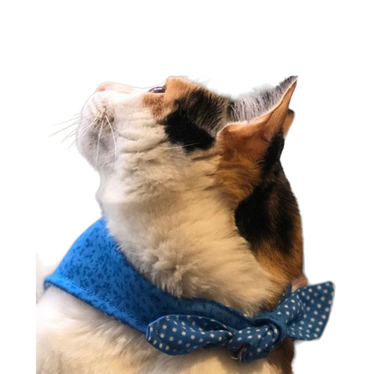 Small double-sided scarves