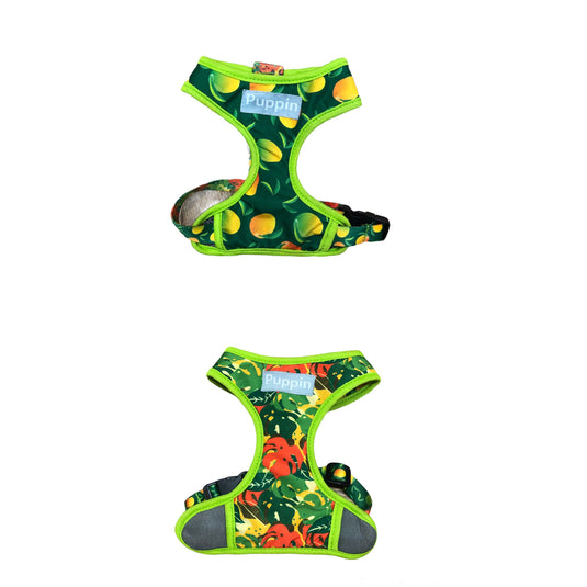 Pechera doble faz con correa para perro Puppin