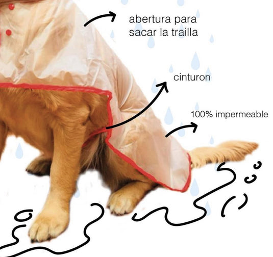 dog raincoat