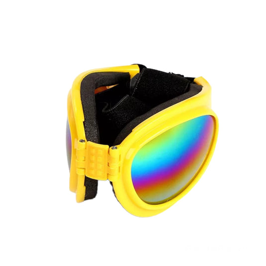 Glasses for large and medium dogs