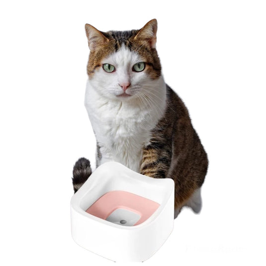 Bebedero flotante con orejas