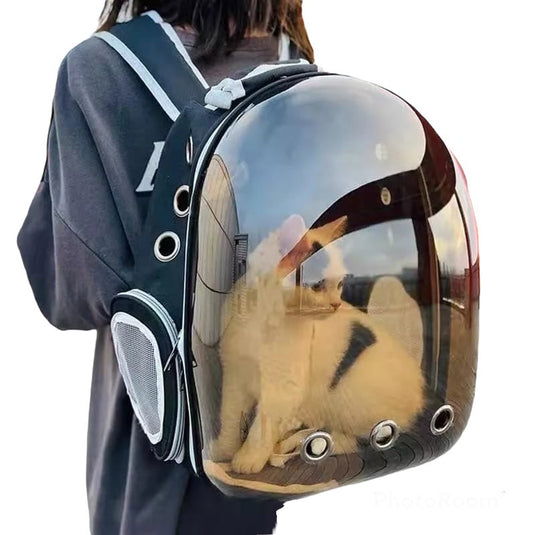 Backpack type suitcase (astropet)