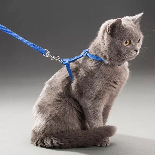 Adjustable Cat Harness