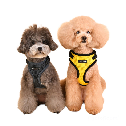 Puppia Chest and Leash