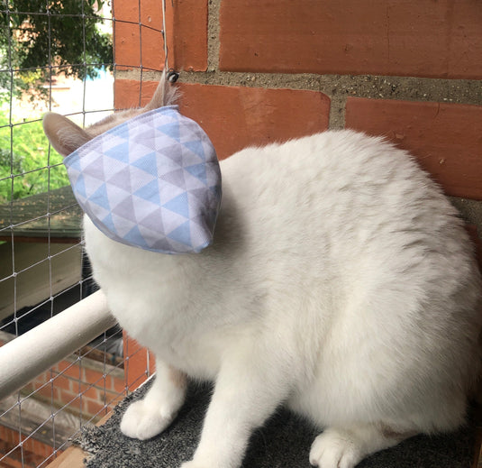 Breathable cat muzzle