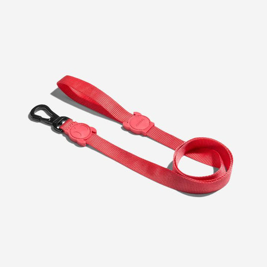Dog leash (Zeedog)