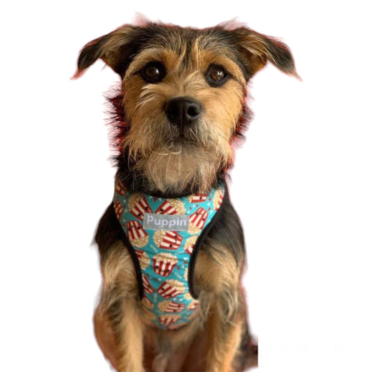 Pechera doble faz con correa para perro Puppin