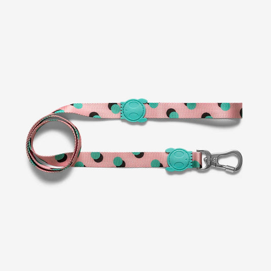 Dog leash (Zeedog)